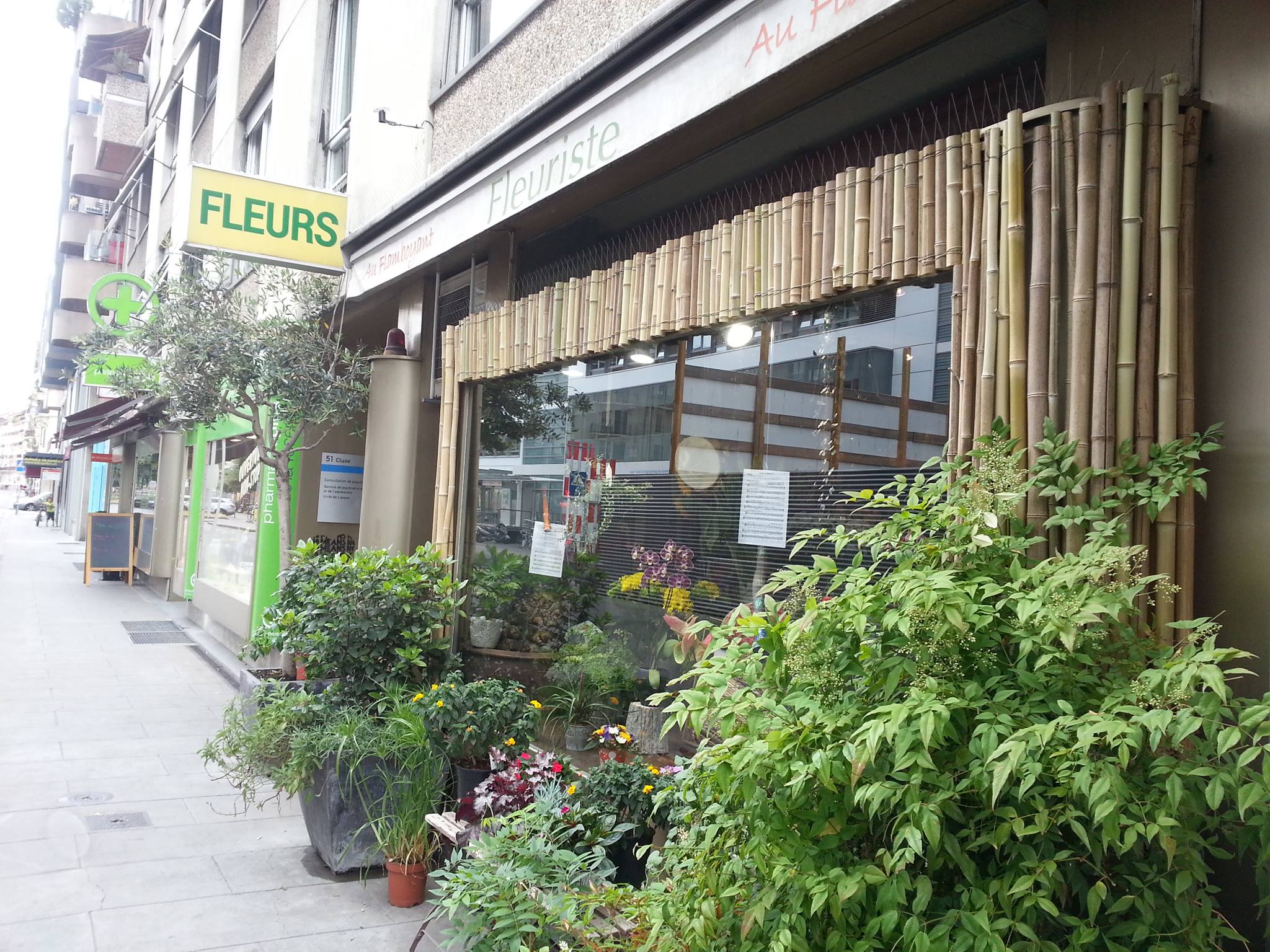 Au Flamboyant – fleuriste 1205 Genève