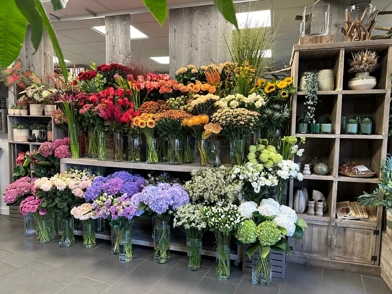 Gatila Fleurs – fleuriste 1290 Versoix
