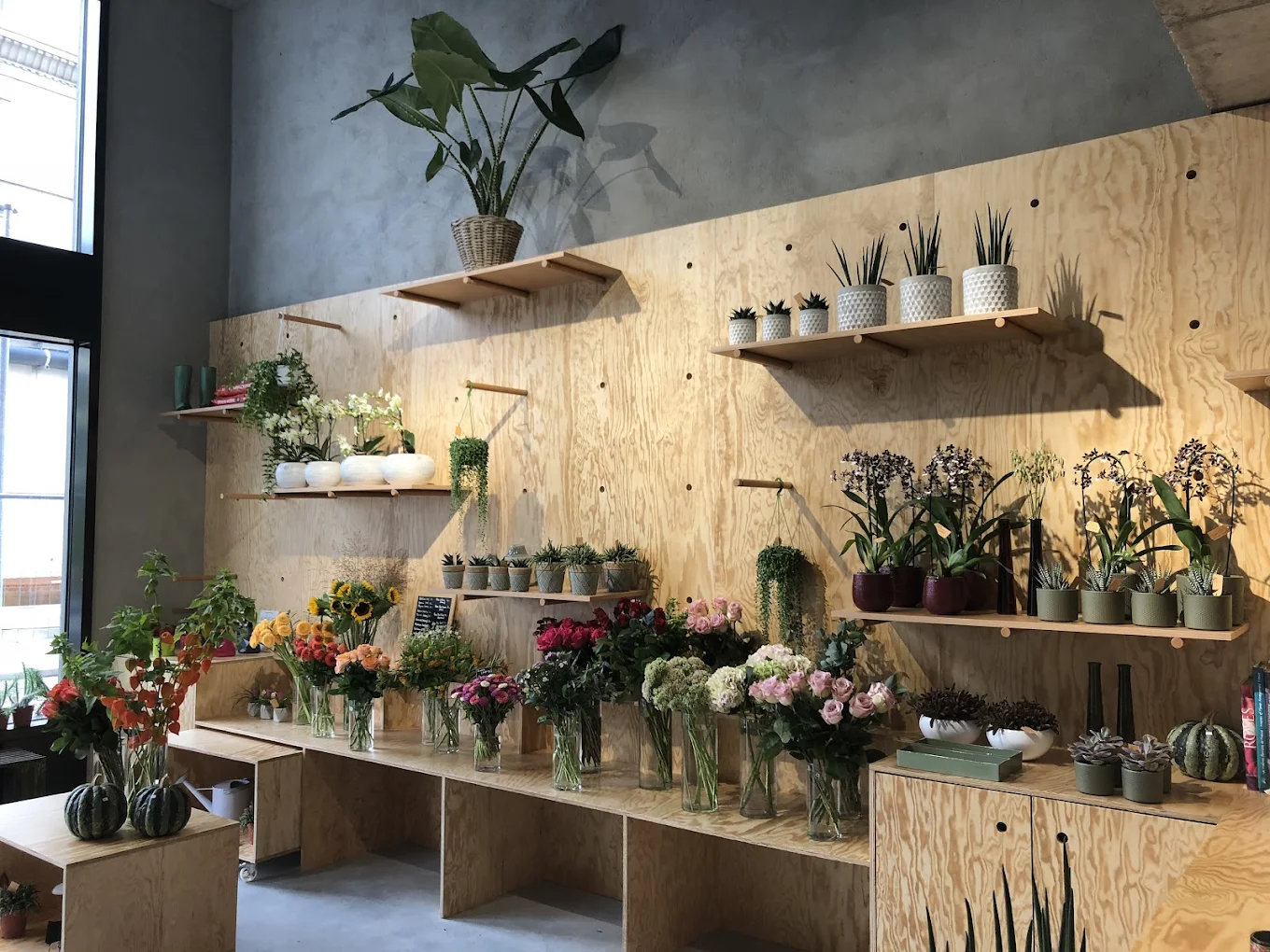 La Petite Fleuriste Sarl – fleuriste 1205 Genève
