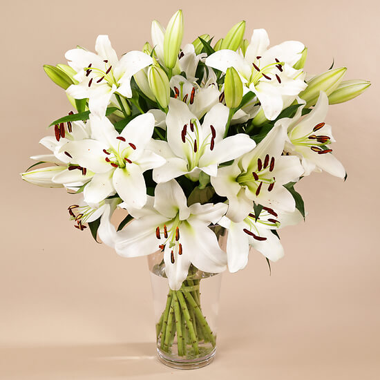 White Lily arrangement – flower delivery Geneva