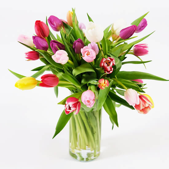 Regenbogen – multicoloured tulips, flower delivery Geneva