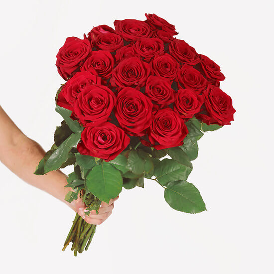 12 Long-Stemmed Red Roses – flower delivery Geneva