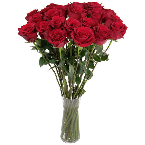 Florist's Red Roses – long-stemmed red roses Geneva